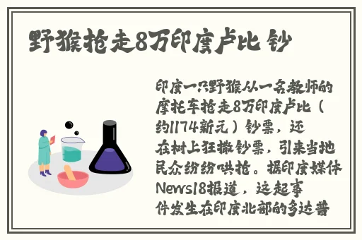 小猫XM14T∨官方怎么看